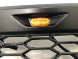 Front Bumper Grille (Raptor Style)